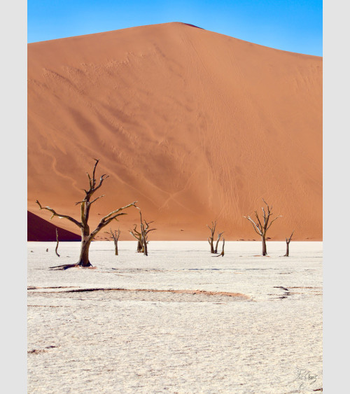 PicGouz - Desert Namibie