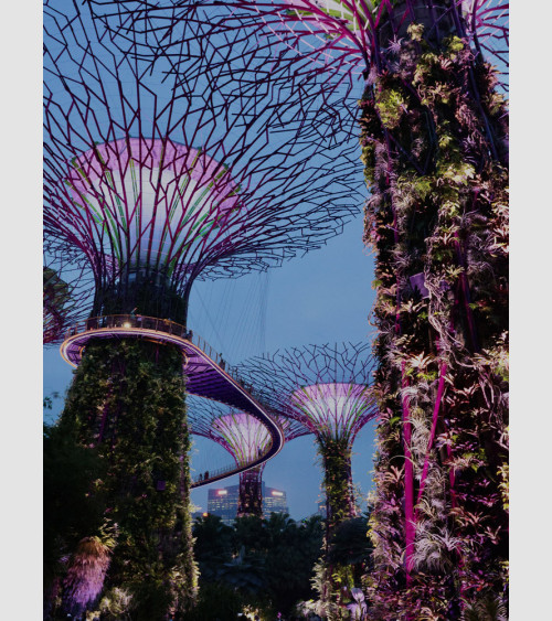 PicGouz - Garden in Singapour