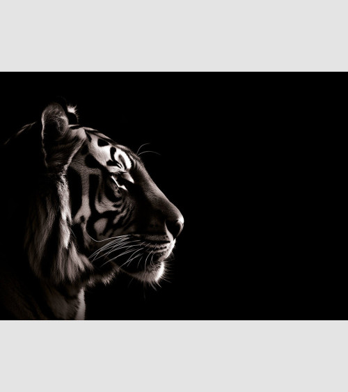 Honed - Portrait Tigre