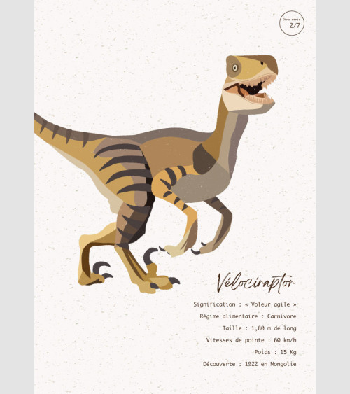 FFRAME - Velociraptor