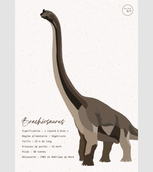 FFRAME - Brachiosaurus
