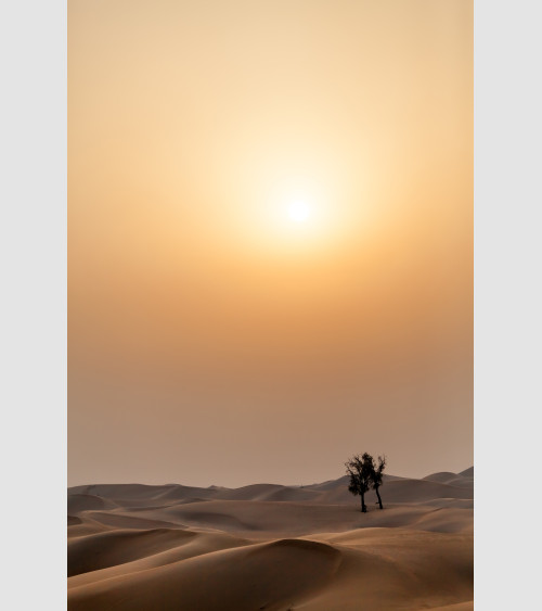 FFRAME - Soleil Du Desert